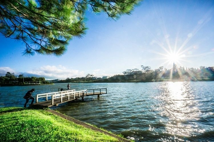 Pine trees over Xuan Huong Lake, Da Lat
